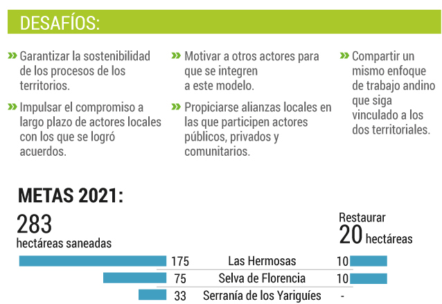 Desafíos y metas del proyecto.