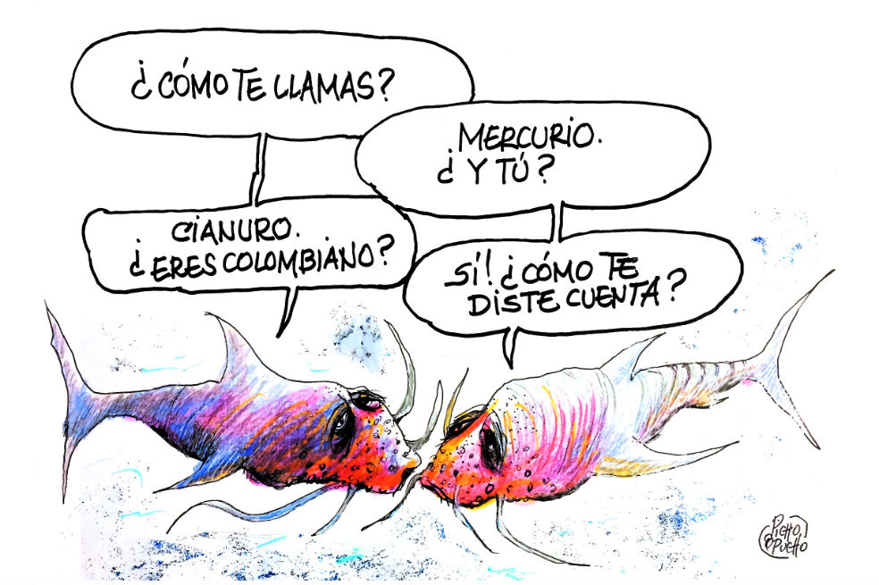 Gallo de pelea