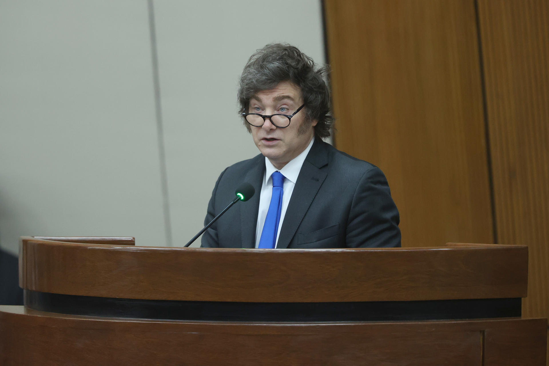 AME257. ASUNCIÓN (PARAGUAY), 17/09/2025.- El presidente de Argentina, Javier Milei, habla este miércoles, en el Palacio Legislativo en Asunción (Paraguay). EFE/ Juan Pablo Pino