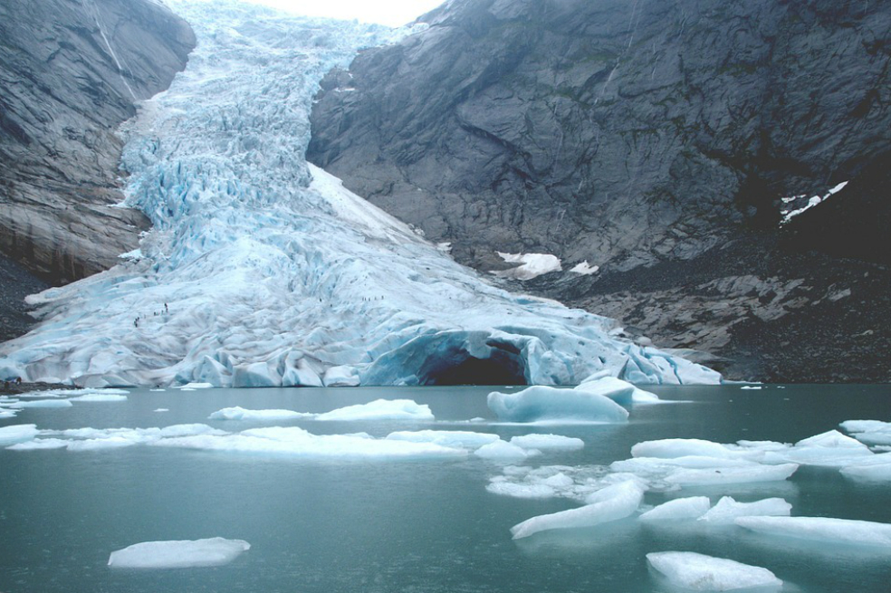 El cambio climático amenaza la vida marina de los polos y el trópico