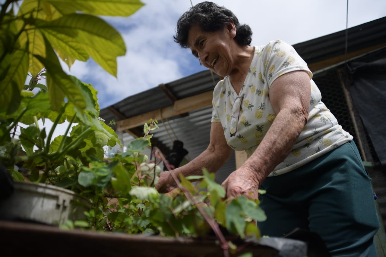 En fotos: con huerta en su casa, mujer de 72 años sostiene a su familia durante la cuarentena