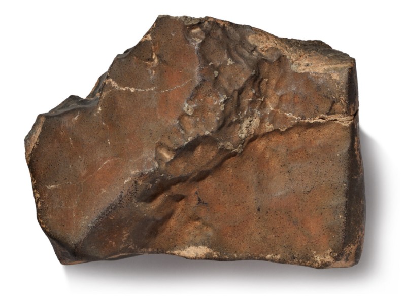 El meteorito marciano más grande hallado en la Tierra será subastado, ¿qué precio tiene?