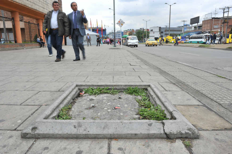 Aumenta riesgo de caída de árboles en Bogotá