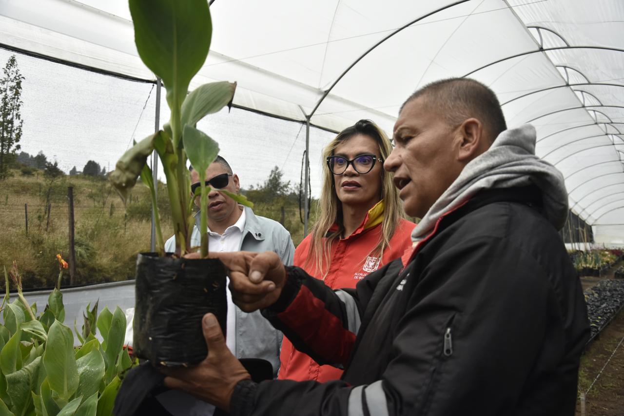 ¿Jardinería o huerta a gran a escala? Las biofábricas son la respuesta
