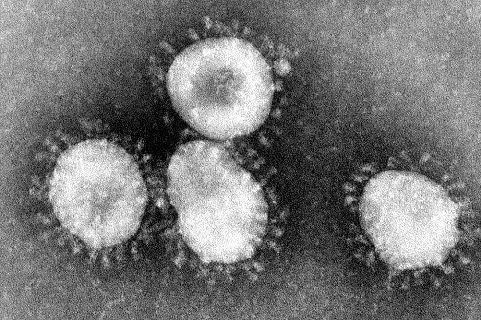 Detectan en Tailandia el primer caso de nuevo virus procedente de China: OMS