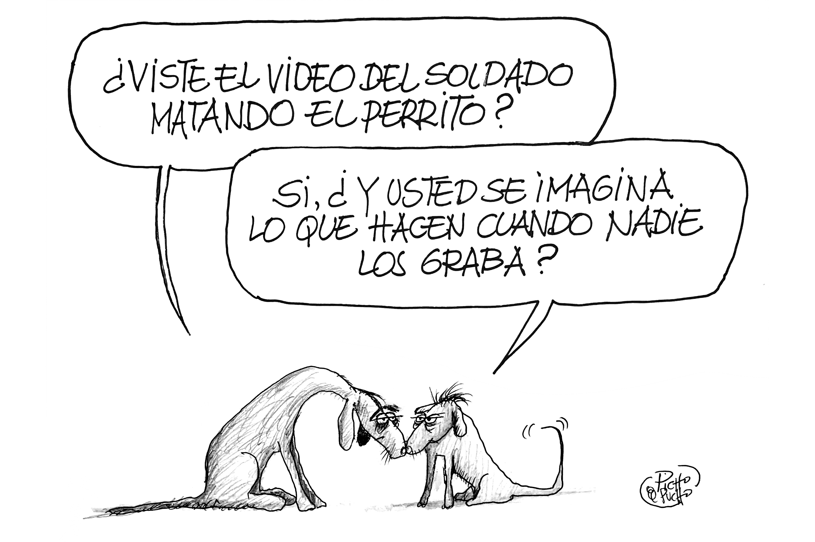 Alto Turmequé