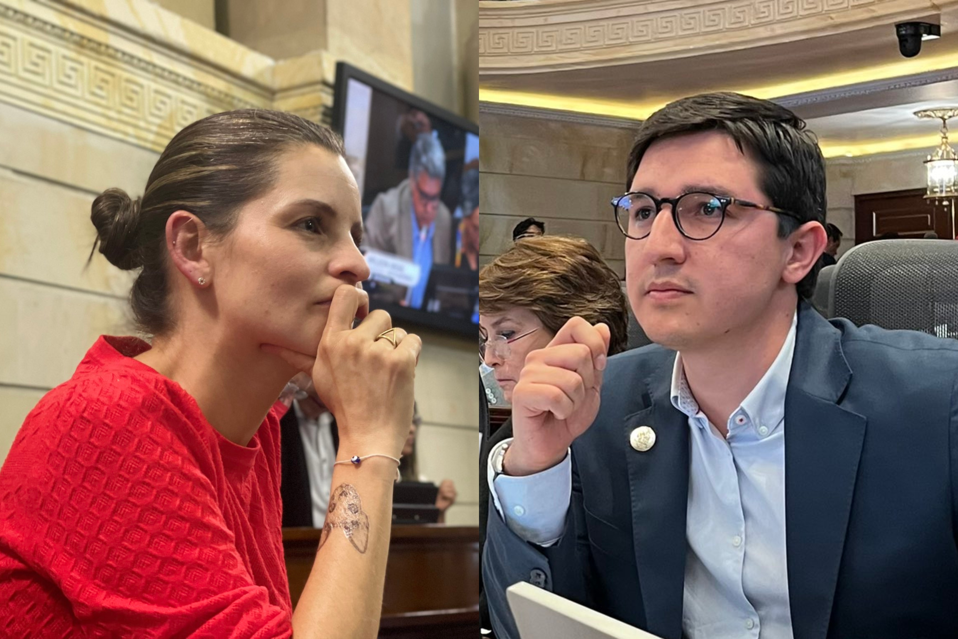 IVA a mascotas y contraprestación aeroportuaria pasó en conciliación de tributaria