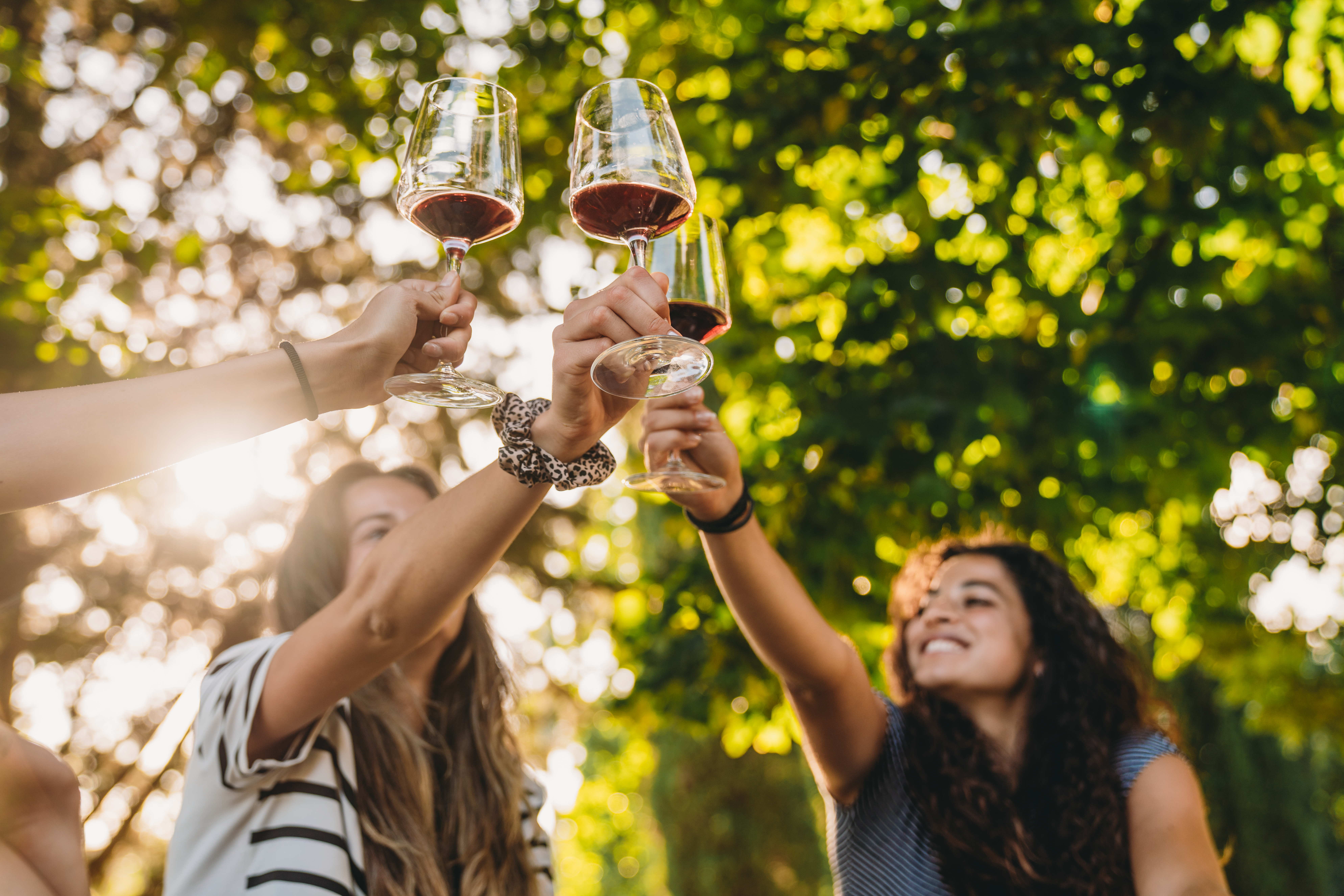 ¿Dónde probar algunos de los mejores vinos de Colombia?