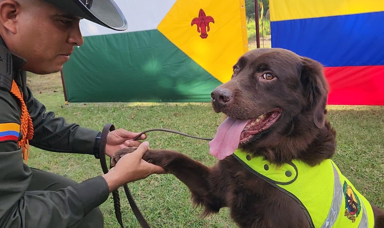 Video: así fue la emotiva despedida con honores de Betoven, un perro policía