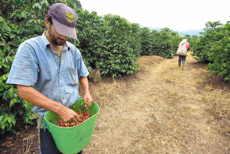 Las propuestas de reforma sobre las tierras que llegaron al Congreso