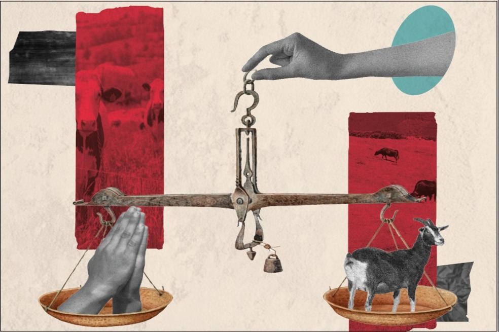 El alcance de las tradiciones: debate entre la libertad religiosa y el bienestar animal
