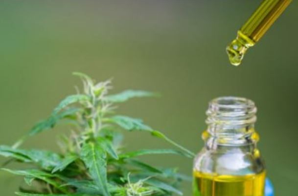 Durante el debate, el Secretario de Seguridad anunció medidas para sensibilizar y entrenar a la fuerza pública frente al tratamiento del cannabis medicinal.