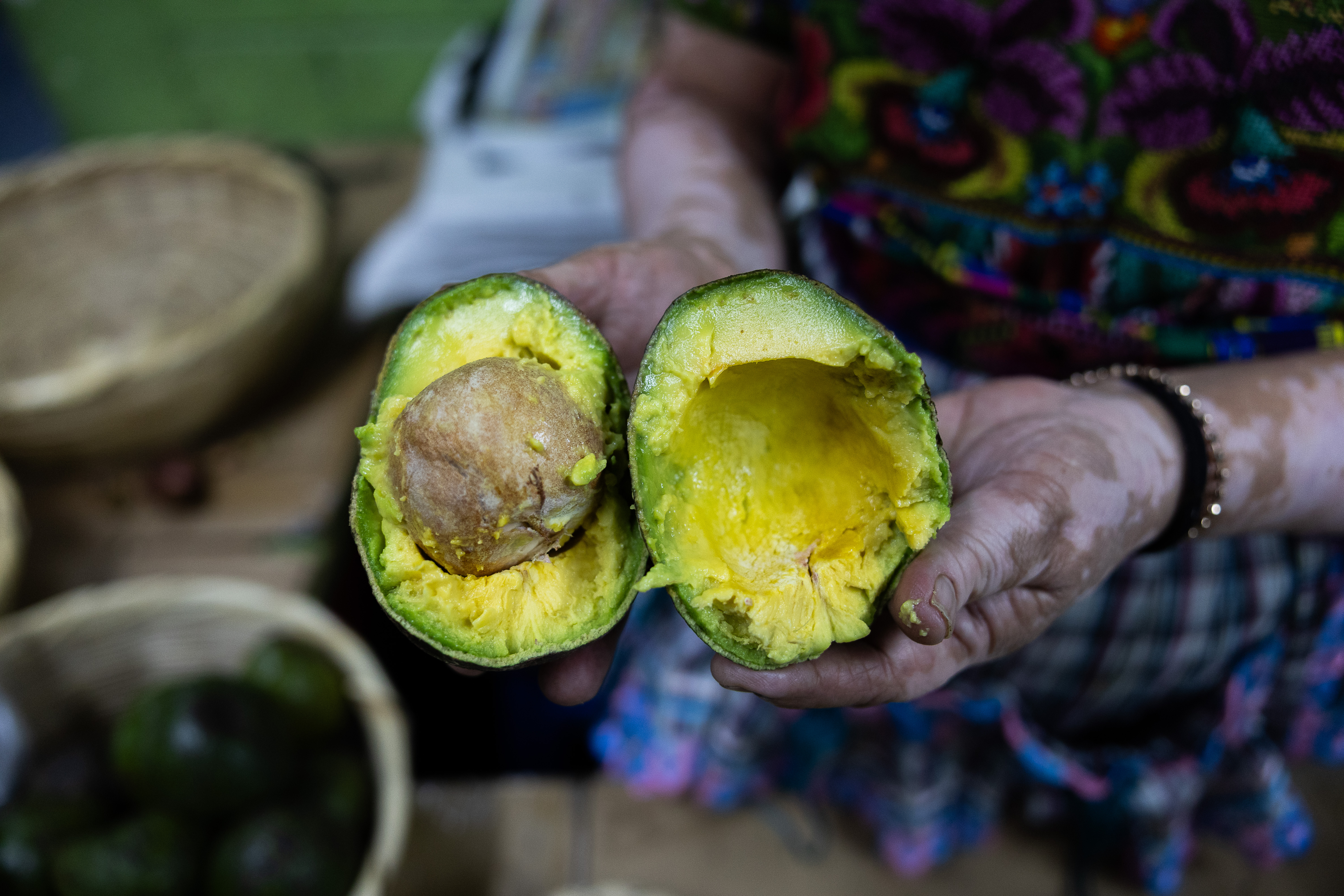 -FOTODELDÍA- AME5436. CIUDAD DE GUATEMALA (GUATEMALA), 20/06/2024.- Una mujer muestra el interior de un aguacate en el mercado central, el 19 de junio de 2024, en la ciudad de Guatemala (Guatemala). La gremial de exportadores de Guatemala informó este jueves que las ventas de aguacate en el extranjero aumentaron un 28 % hasta marzo de este año en comparación a lo reportado en el mismo periodo durante 2023. EFE/ David Toro