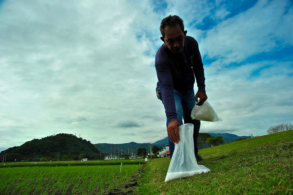 El eslabón perdido de la contaminación con fertilizantes