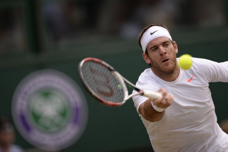 Juan Martín Del Potro padece un esguince en la rodilla izquierda