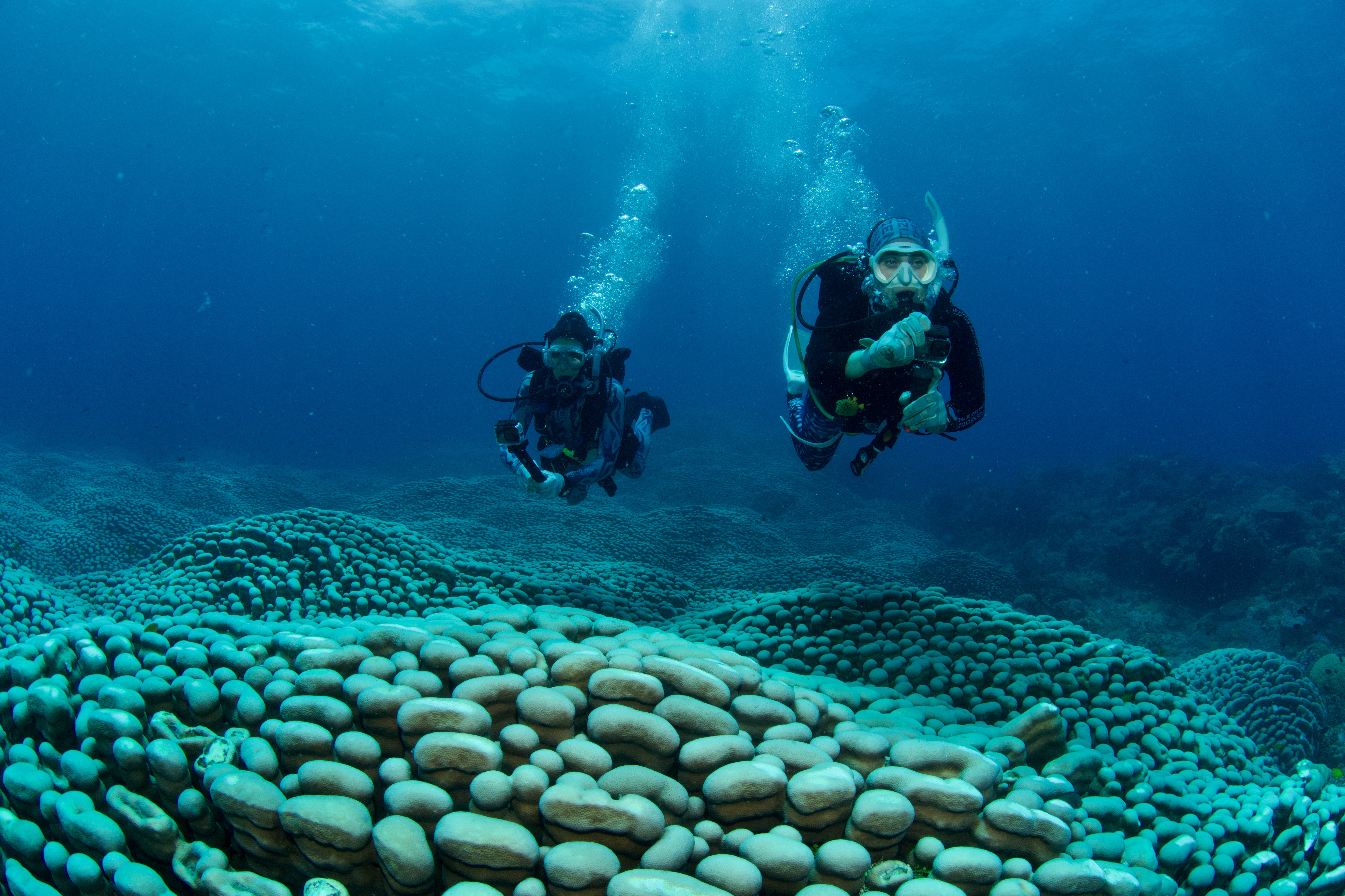 Madre e hija buceando sobre la colonia de coral que descubrieron.