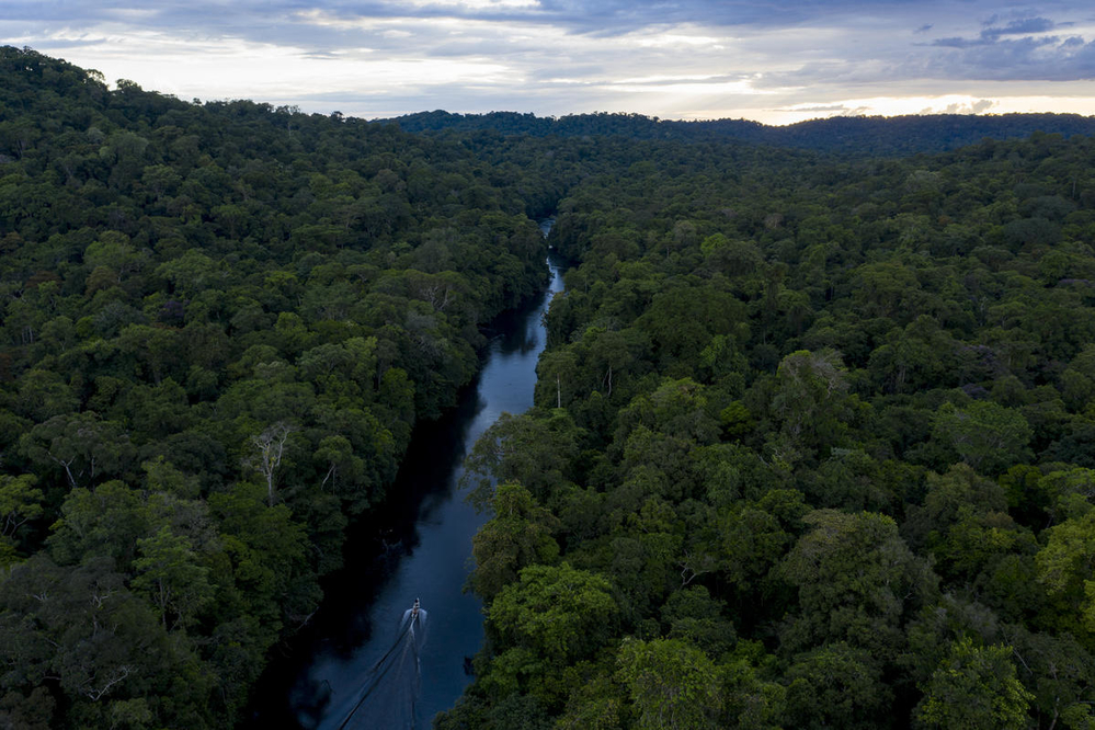 Las especies invasoras son uno de los principales motores de pérdida de biodiversidad en el mundo.