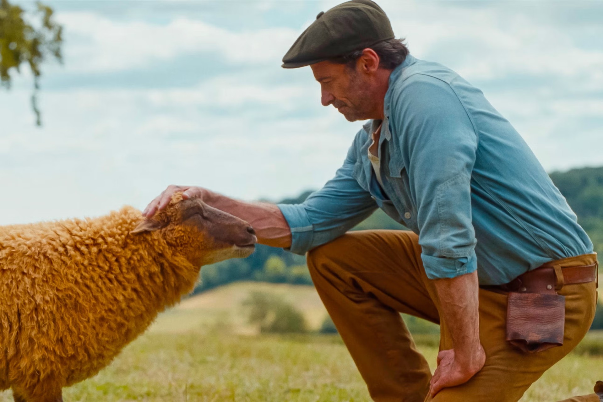 ‘The Sheep Detectives’: el thriller donde unas ovejas ayudan a resolver un asesinato