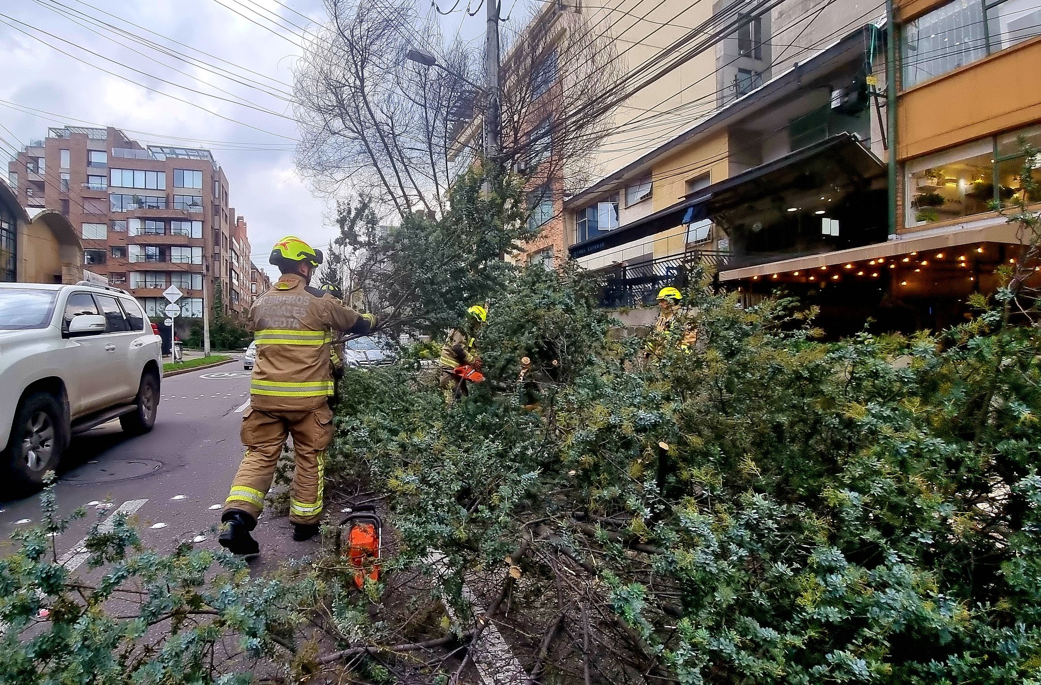Afectaciones por lluvias en Bogotá: Caída de árboles, empozamientos y tráfico pesado