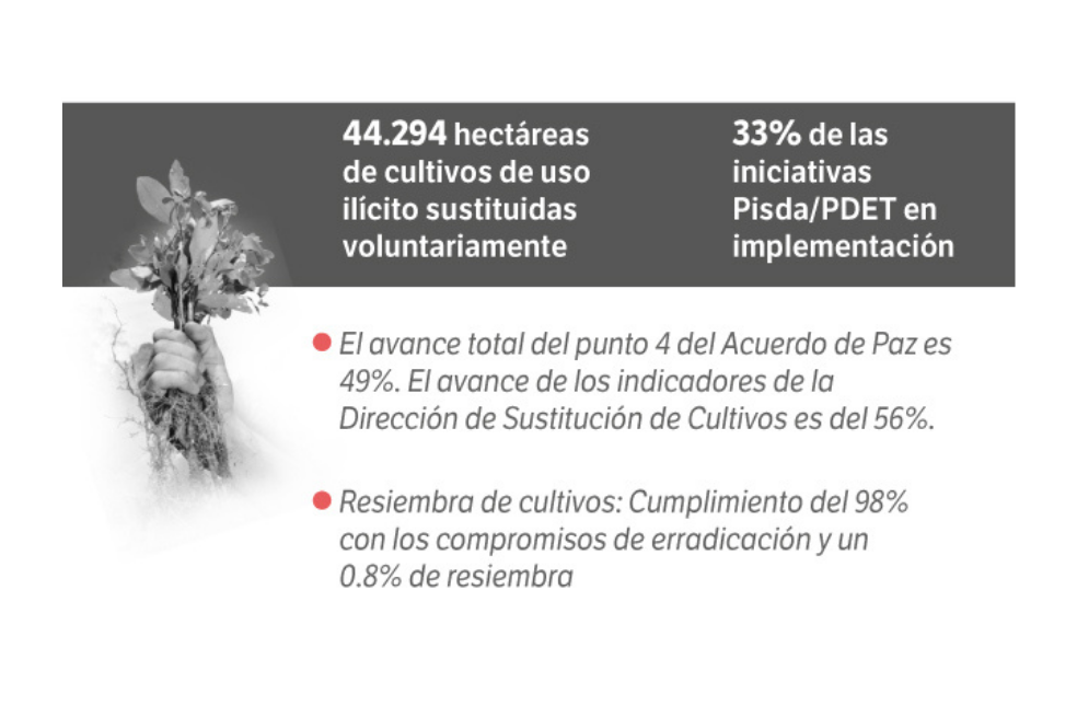 Avance del Punto 4 en la era Duque.