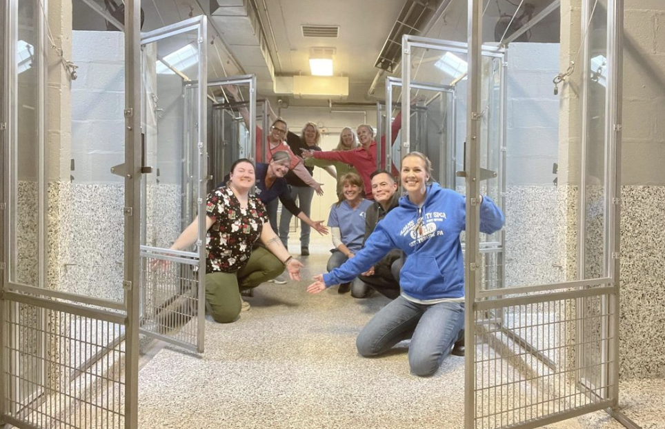Milagro de Navidad: por primera vez, en casi 50 años, un refugio de animales quedó vacío