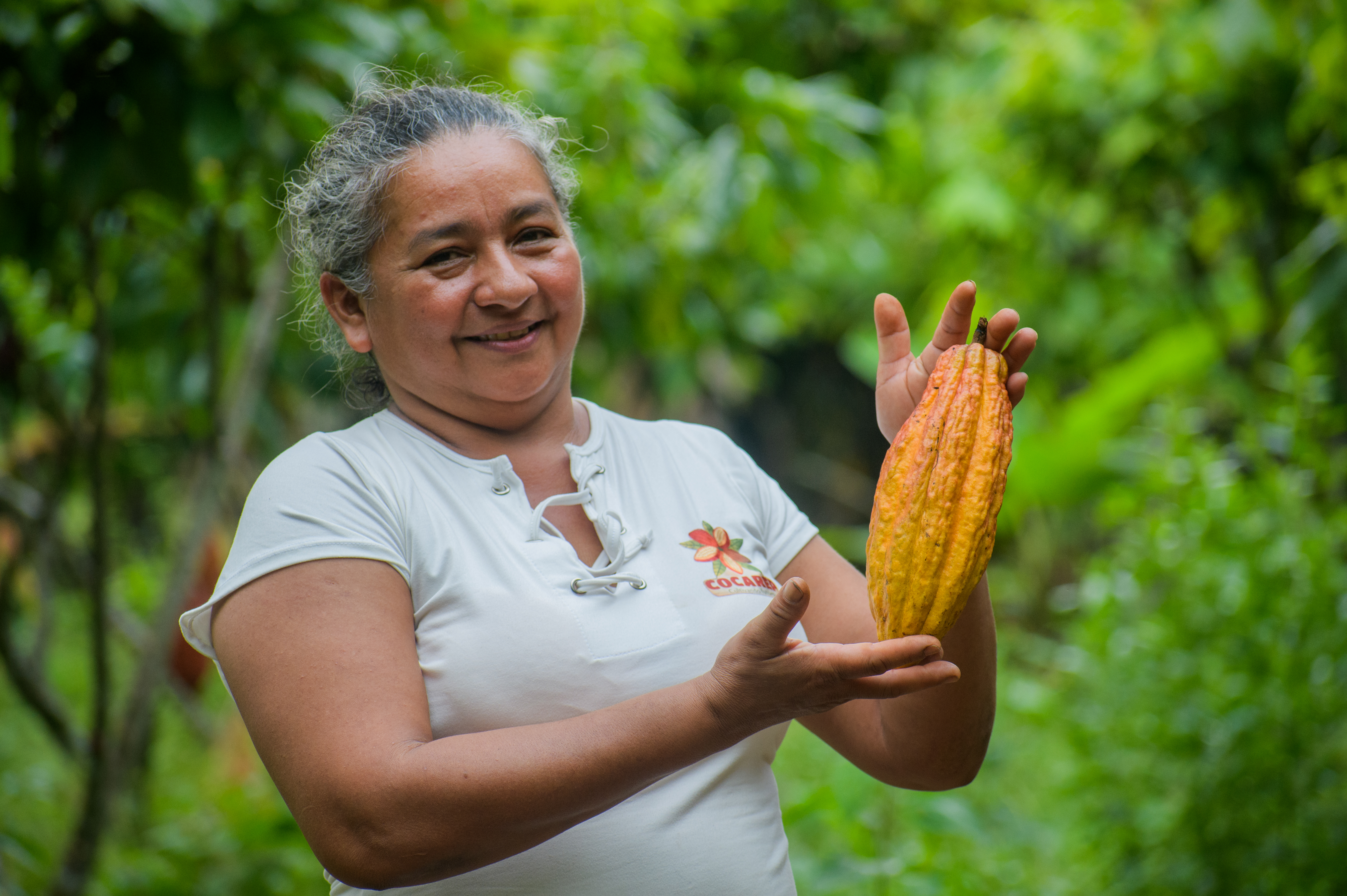 El proyecto, liderado por WWF y Alisos, busca promover un modelo de producción de cacao con cero deforestación y mejorar la calidad de vida de los productores de cacao.