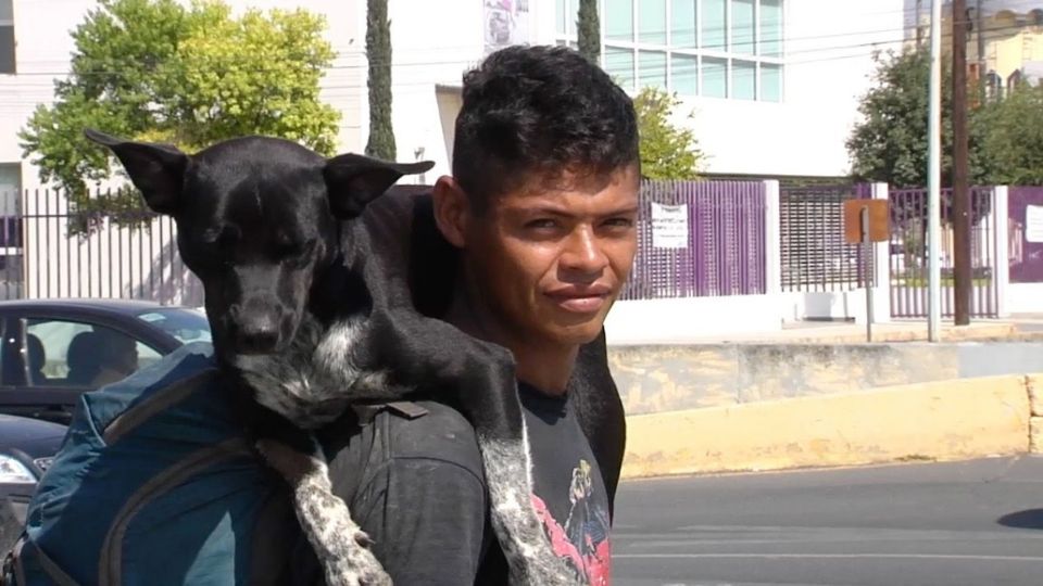 Matan en México a la mascota de un migrante colombiano: recorrieron 12 países juntos