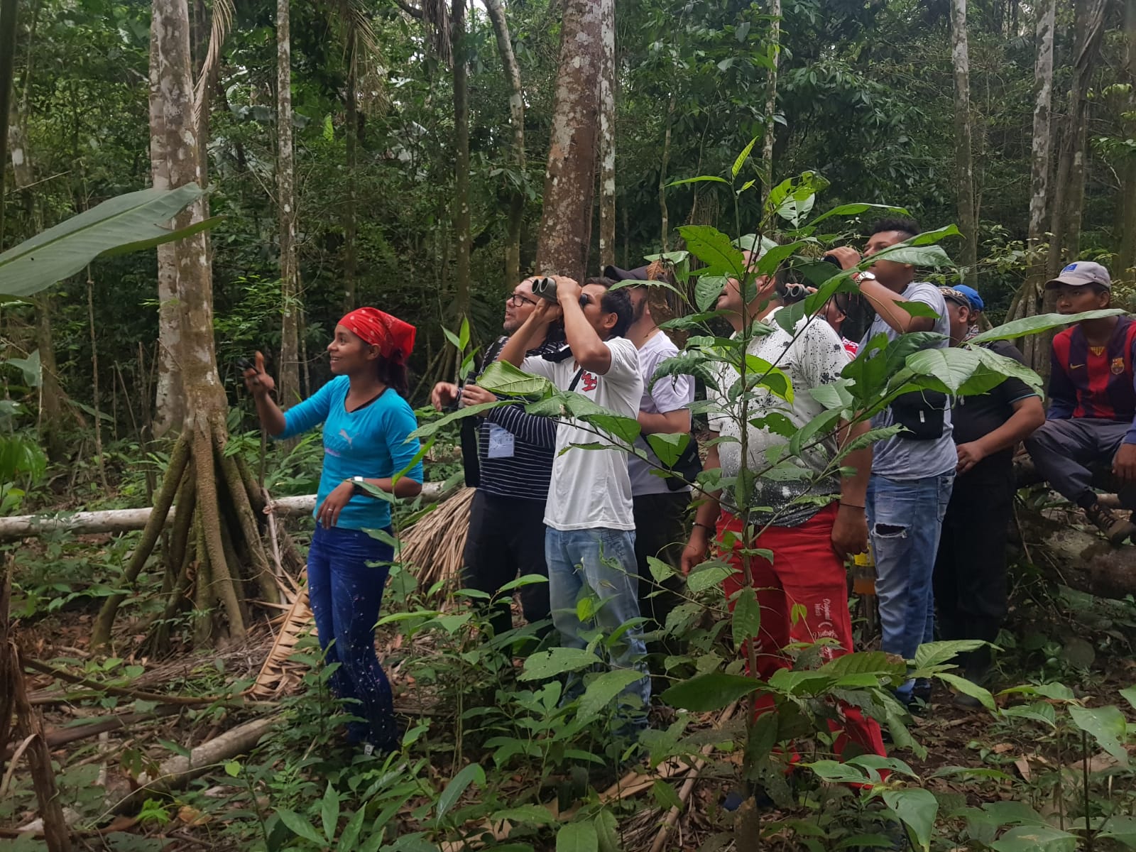 La estrategia ambiental que están liderando firmantes de paz