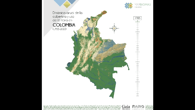 En cuatro décadas, Colombia perdió en bosques un área tan grande como 27 veces Bogotá