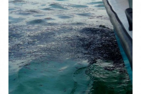 Fotografía del derrame de crudo en el Golfo.