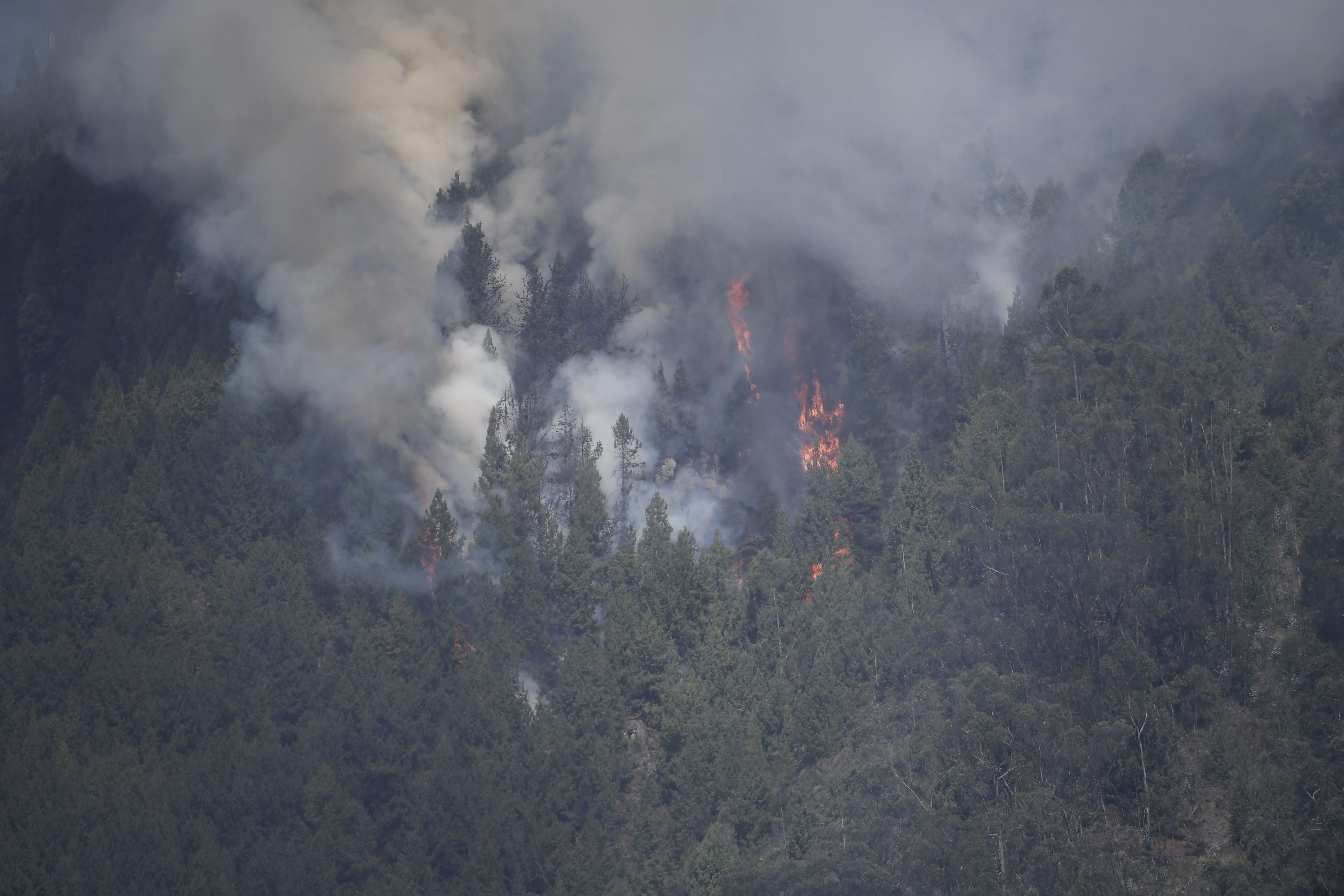 Incendios en los Cerros Orientales, Bogotá.