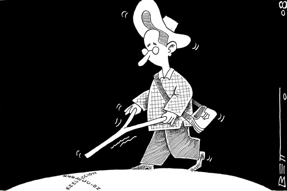 Reelección