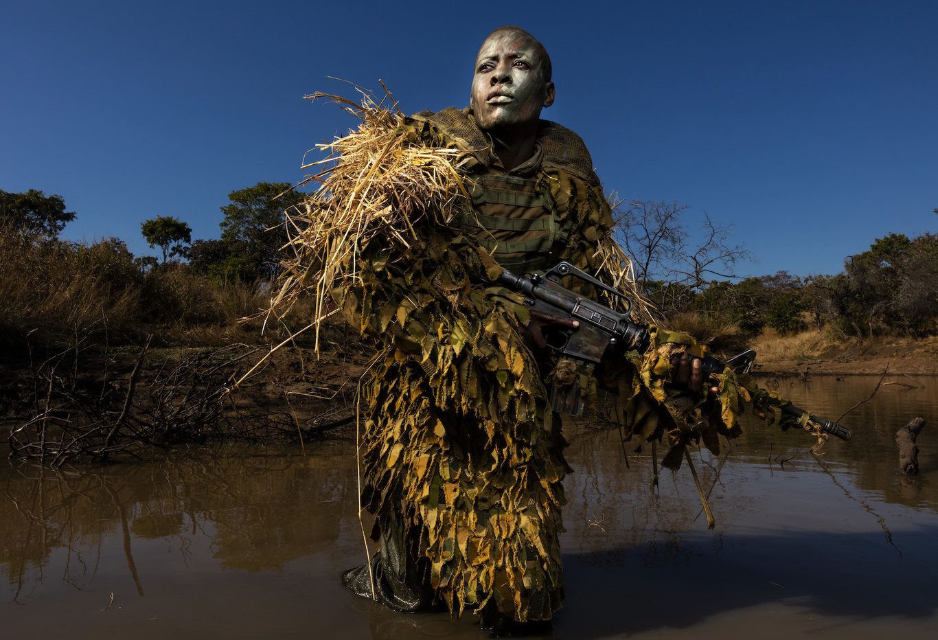 Además Tres fotógrafos de Agence France Presse, fueron nominados en varias categorías. John Wessels, fotógrafo radicado en Kinshasa, recibió dos nominaciones en la categoría "General News, Stories" (Noticias generales, reportajes), sobre todo por una serie de fotos sobre la epidemia del Ébola.