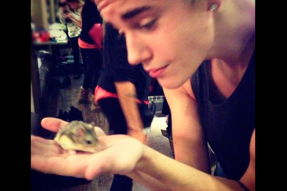 Justin Bieber revoluciona Twitter con la muerte de su hámster