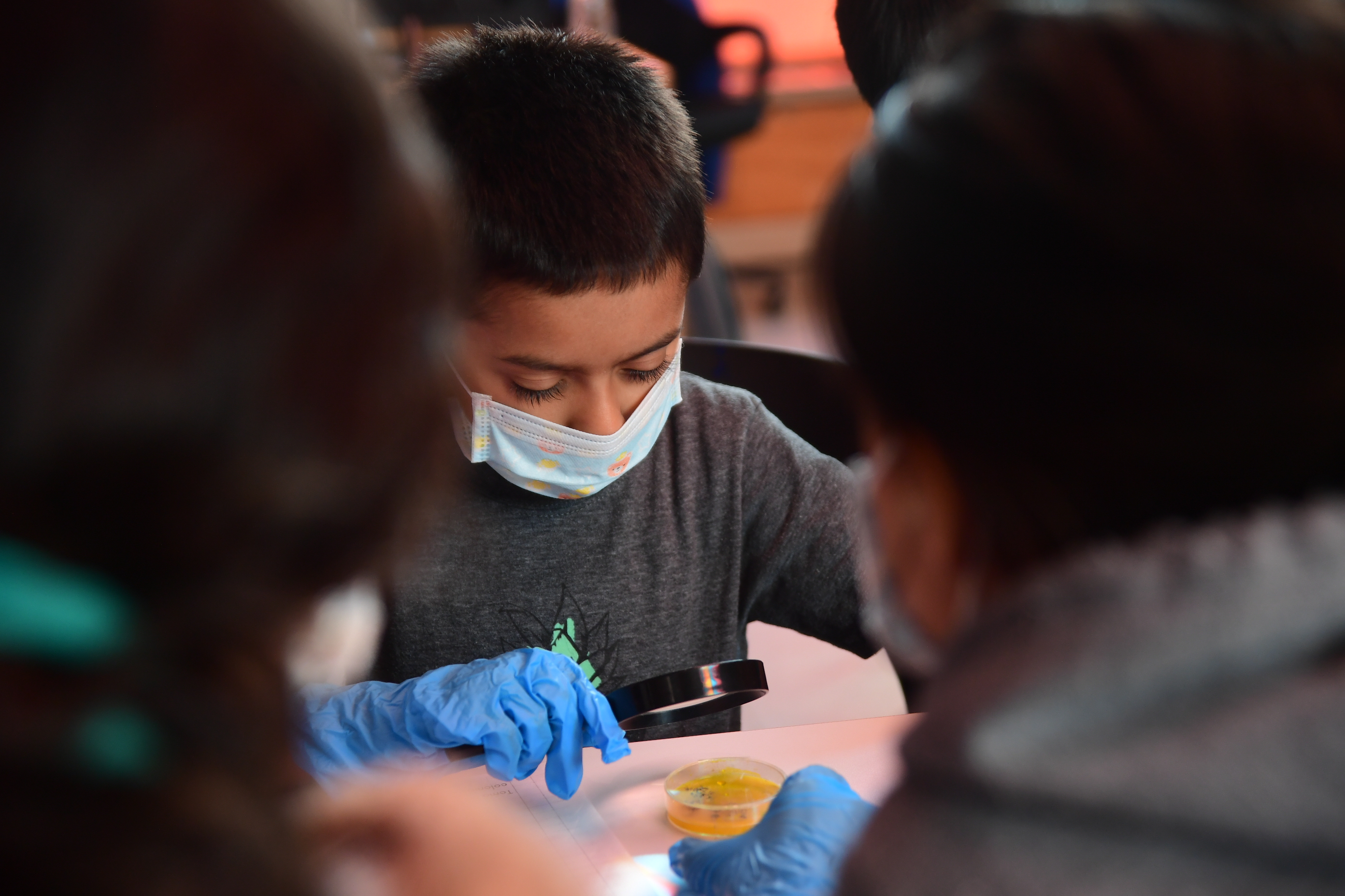 Curso de espías para niños en esta zona de Bogotá