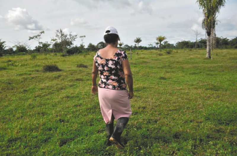 Los ganaderos despojadores en el Urabá que le volverán a dar la cara a la justicia transicional
