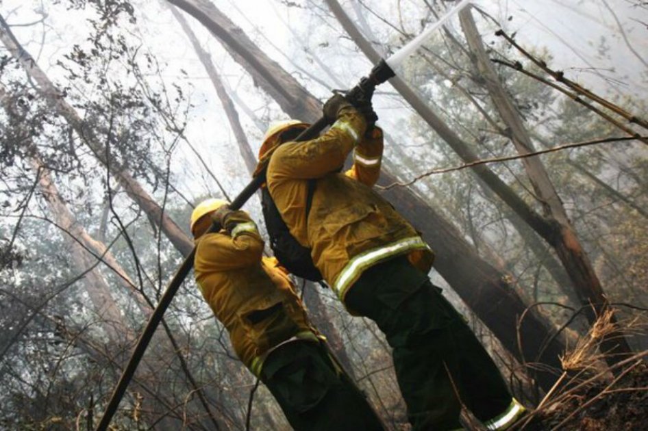 Aún falta controlar un 20% de incendio en cerros orientales de Bogotá