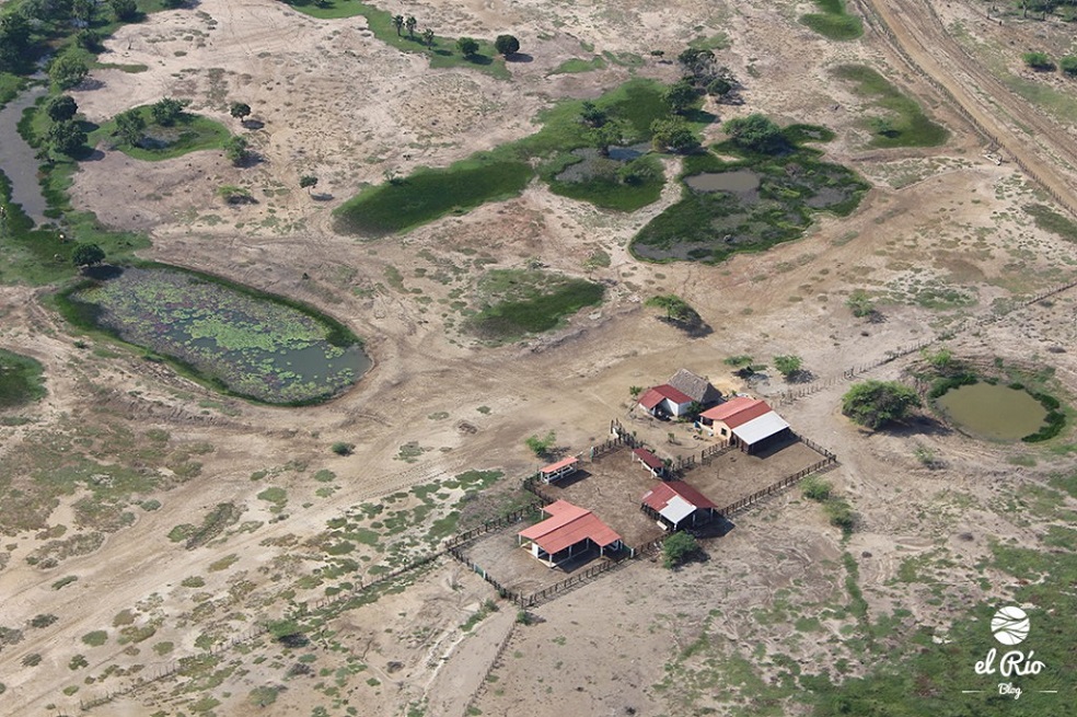 Erradicar el hambre sin cobrarle al medio ambiente