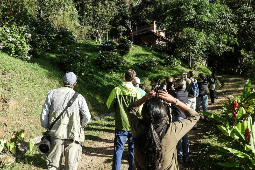 Colombia y Perú se disputan el título al país con mayor avistamiento de aves