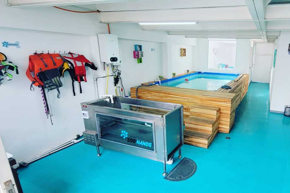 ZooHands cuenta con piscina climatizada, banda caminadora acuática y muchas otras herramientas para la atención en fisioterapia.