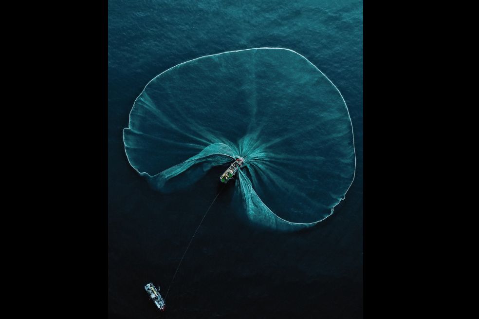 Categoría Gente y naturaleza:
Robert Middleton, de Reino Unido, capturó el momento en que unos pescadores recolectan anchoas en la costa de Phu Yen, en Vietnam. 
Para Middleton, "esta escena nos recuerda nuestra interconexión con la naturaleza y nuestra responsabilidad de actuar como guardianes de la Tierra".