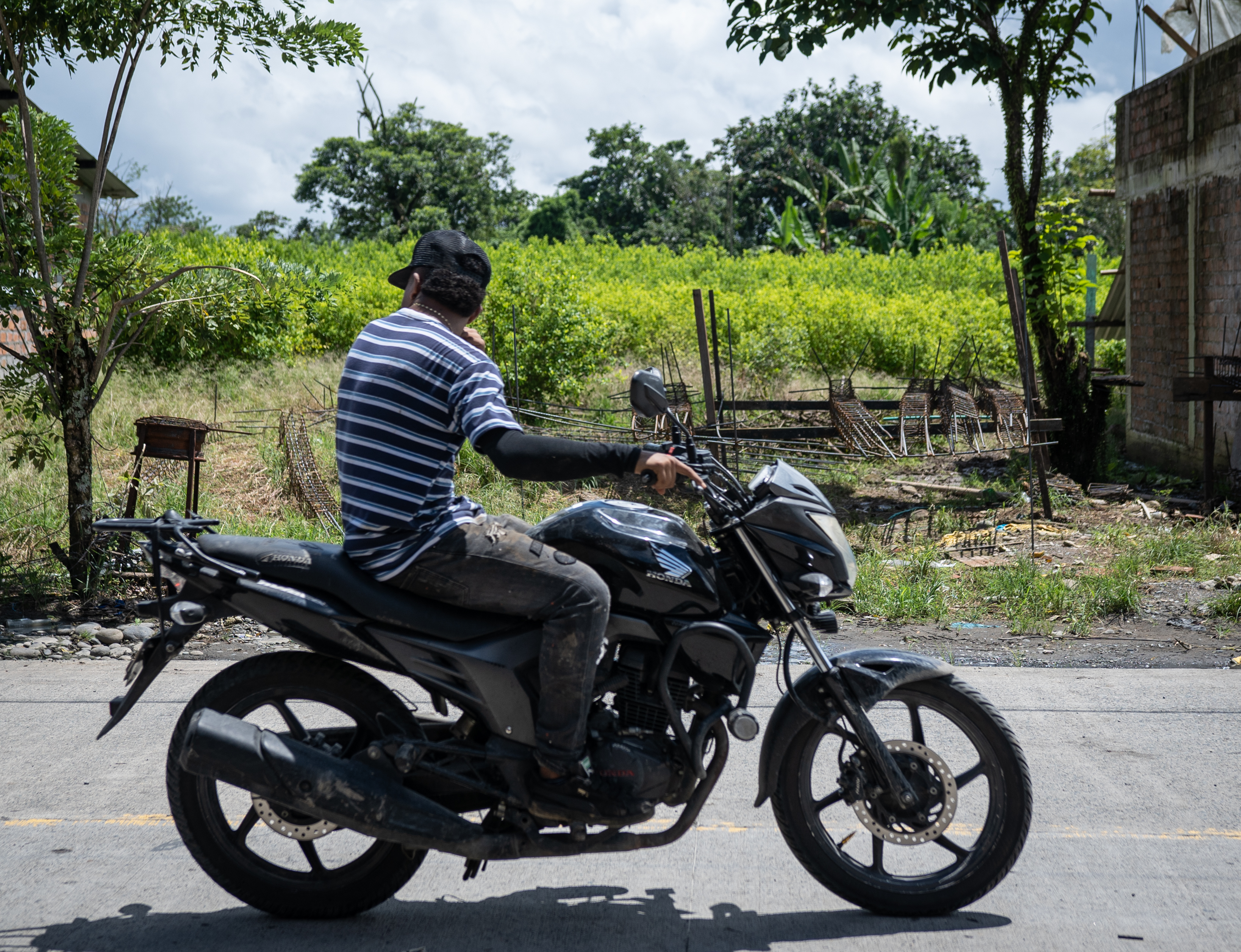 Un joven conduce una motocicleta frente a un cultivo de coca en el resguardo Inda Sabaleta, en Tumaco.