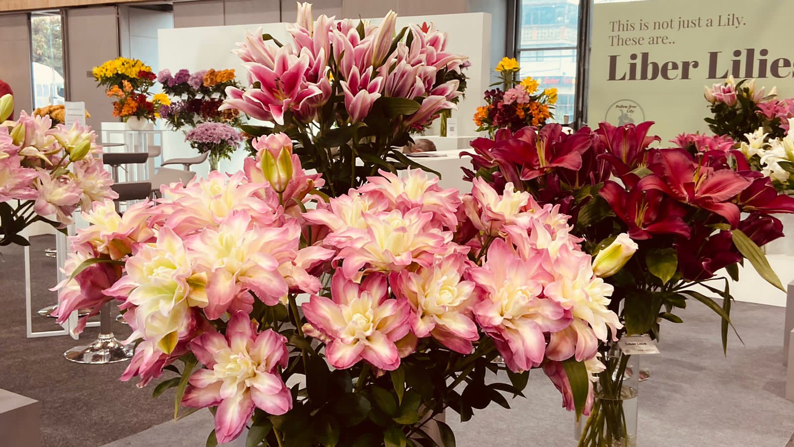 Las flores son la tarjeta de presentación más hermosa del país: Minagricultura