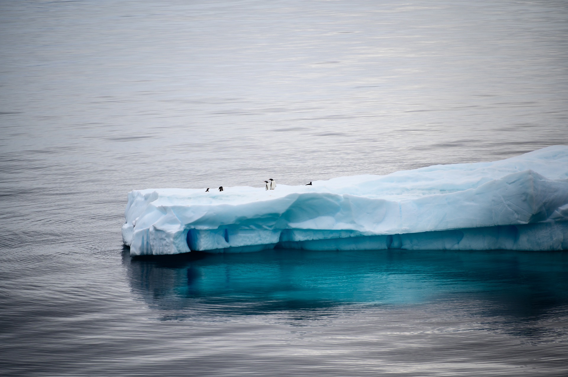¿Qué importancia tienen los microbios que habitan en los glaciares?