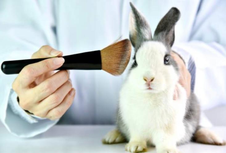 Estas campañas buscan poner fin a la experimentación animal con fines cosméticos