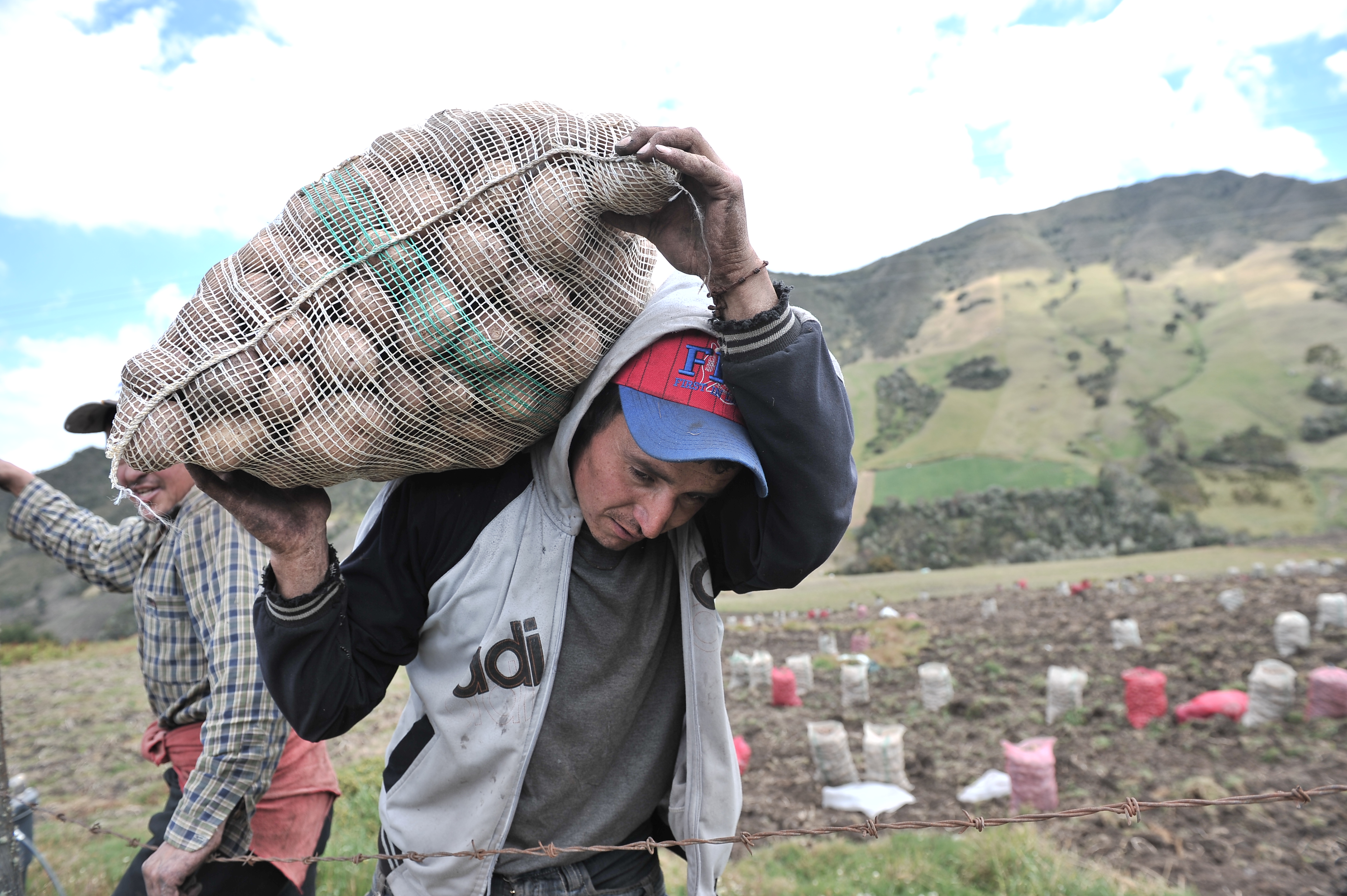 Sin leche ni combustibles: bloqueos en Boyacá revelan fracturas productivas