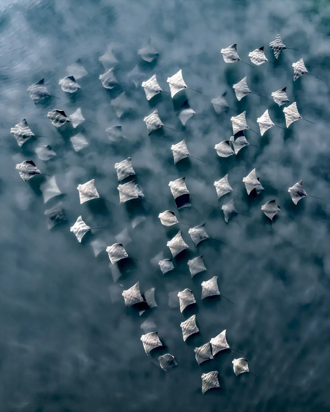 Estas son las impresionantes imágenes ganadoras de un concurso de fotografía aérea