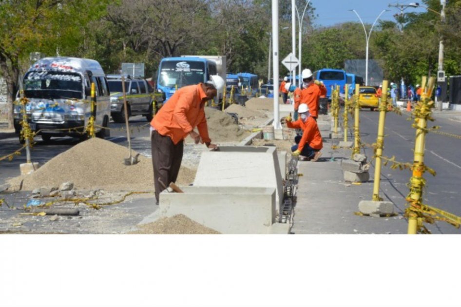Polémica por tala de 231 árboles en Santa Marta