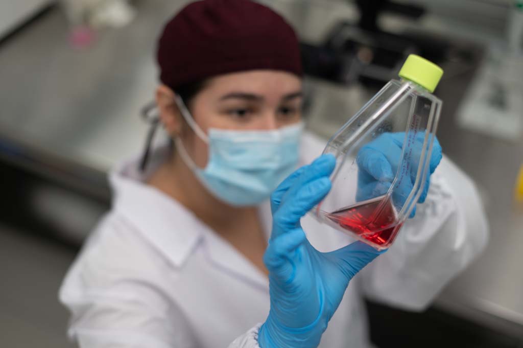 Análisis de ADN antiguo revela casos de síndrome de Down en la Prehistoria europea
