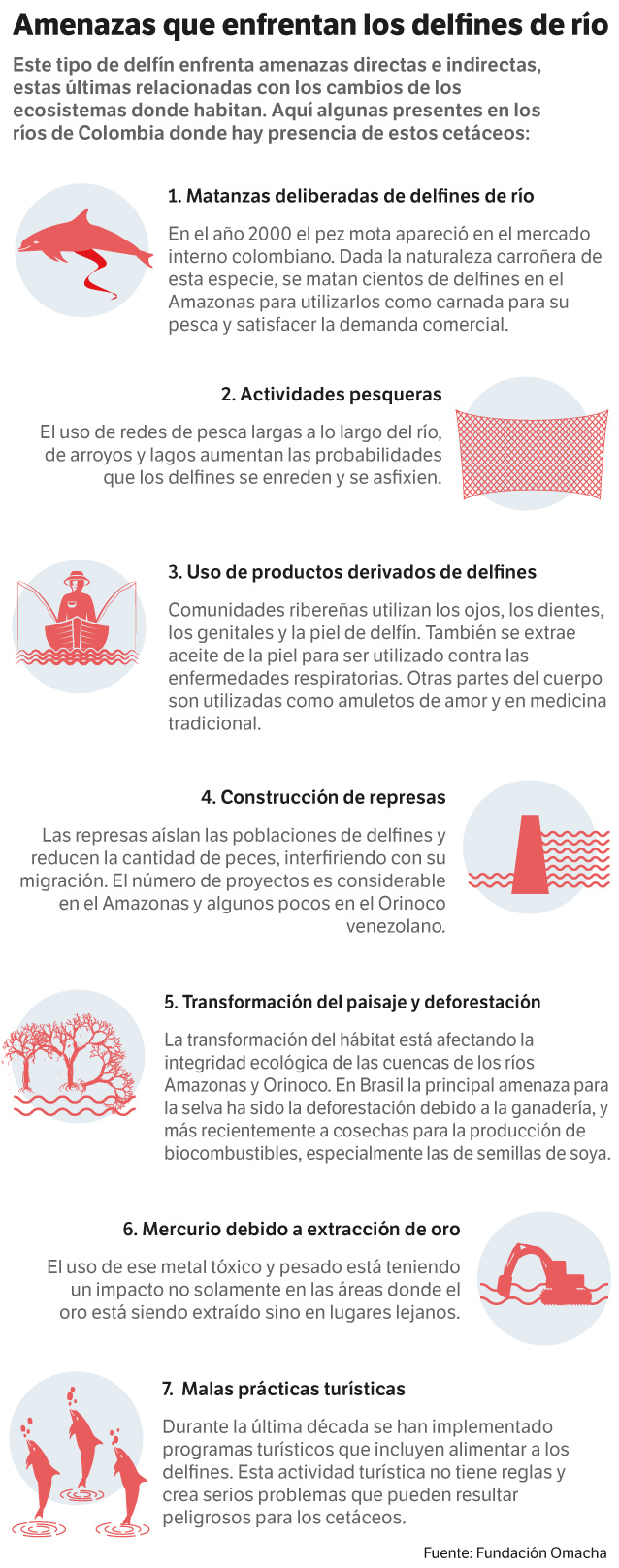 Amenazas delfines de río